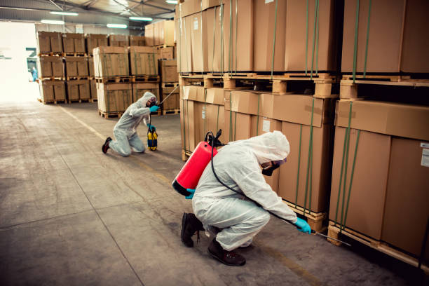 Best Emergency Pest Control  in Wildwood Lake, TN