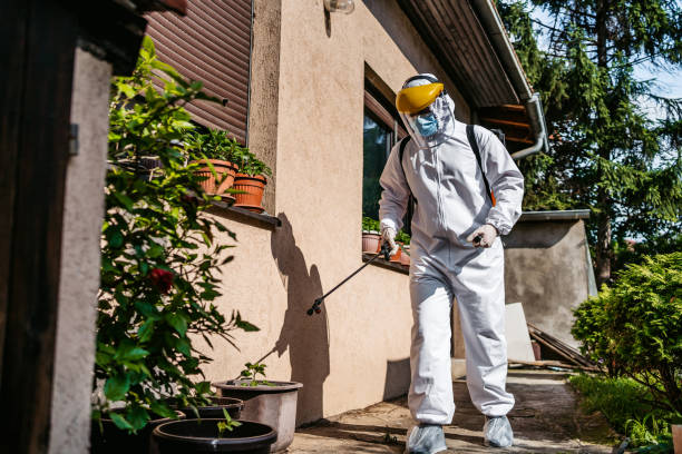 Best Best Pest Control Companies  in Wildwood Lake, TN