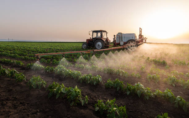 Best Commercial Pest Control Services  in Wildwood Lake, TN