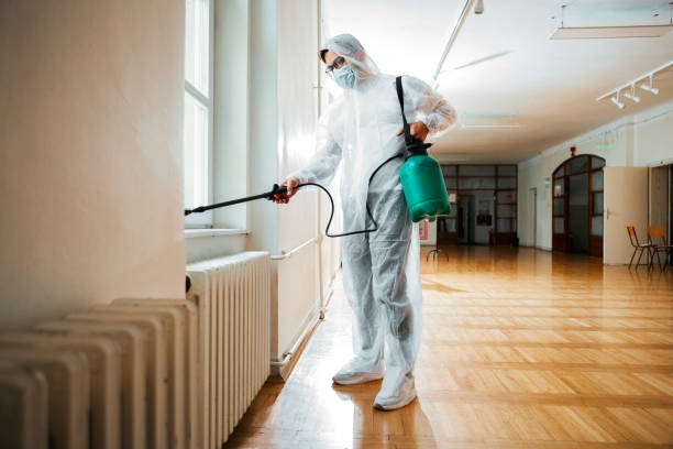 Best Flea Control Services  in Wildwood Lake, TN