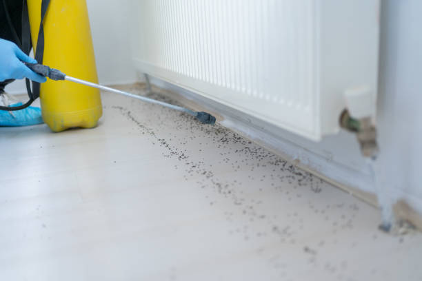 Best Bed Bug Extermination  in Wildwood Lake, TN