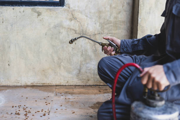 Best Local Pest Control Services  in Wildwood Lake, TN