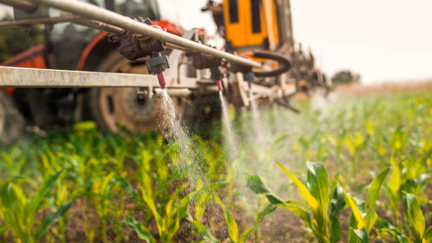 Best Ant Control Services  in Wildwood Lake, TN